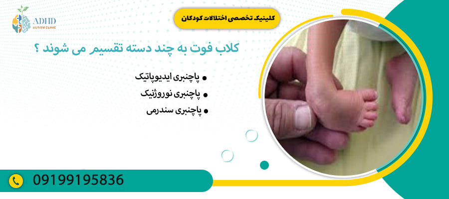 کلاب فوت به چند دسته تقسیم می شوند ؟